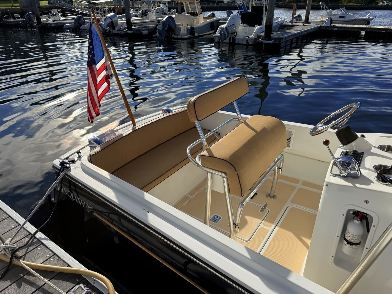 2010 Vanquish 24 Runabout - Photo 17