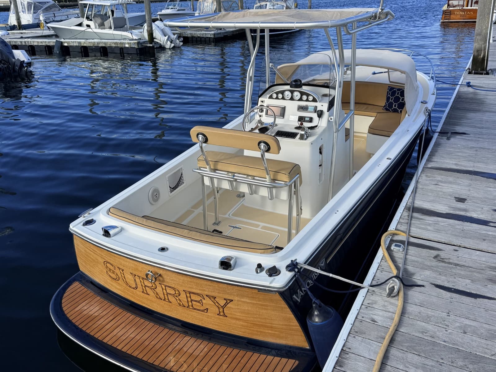 2010 Vanquish 24 Runabout - Photo 10