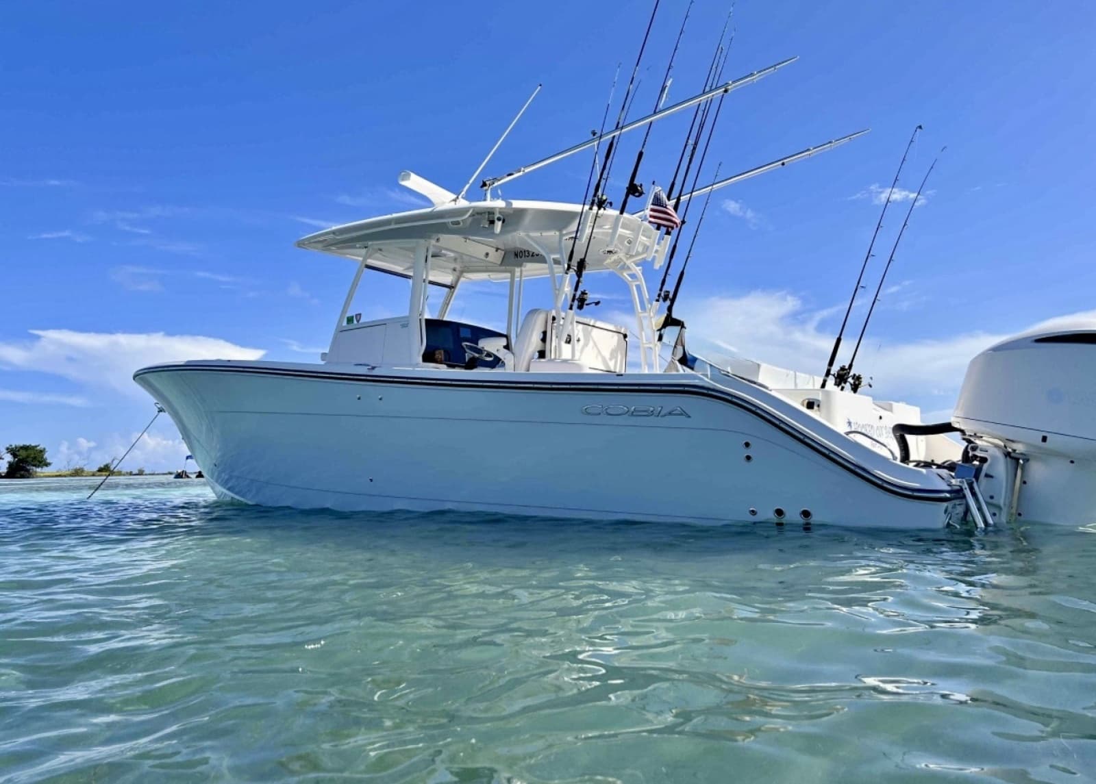 2021 Cobia 350 - Photo 2