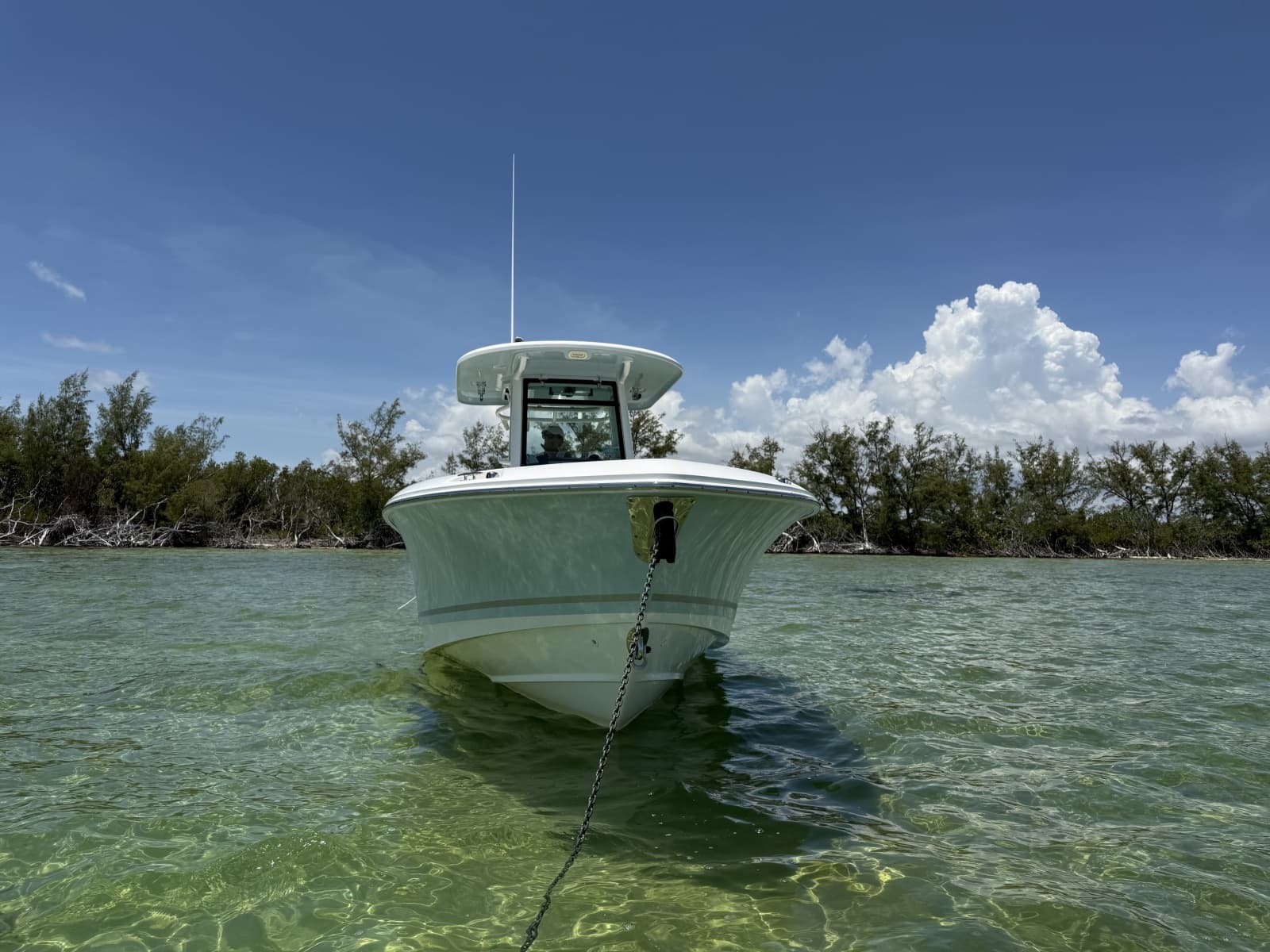 2019 Boston Whaler 280 Outrage - Photo 8