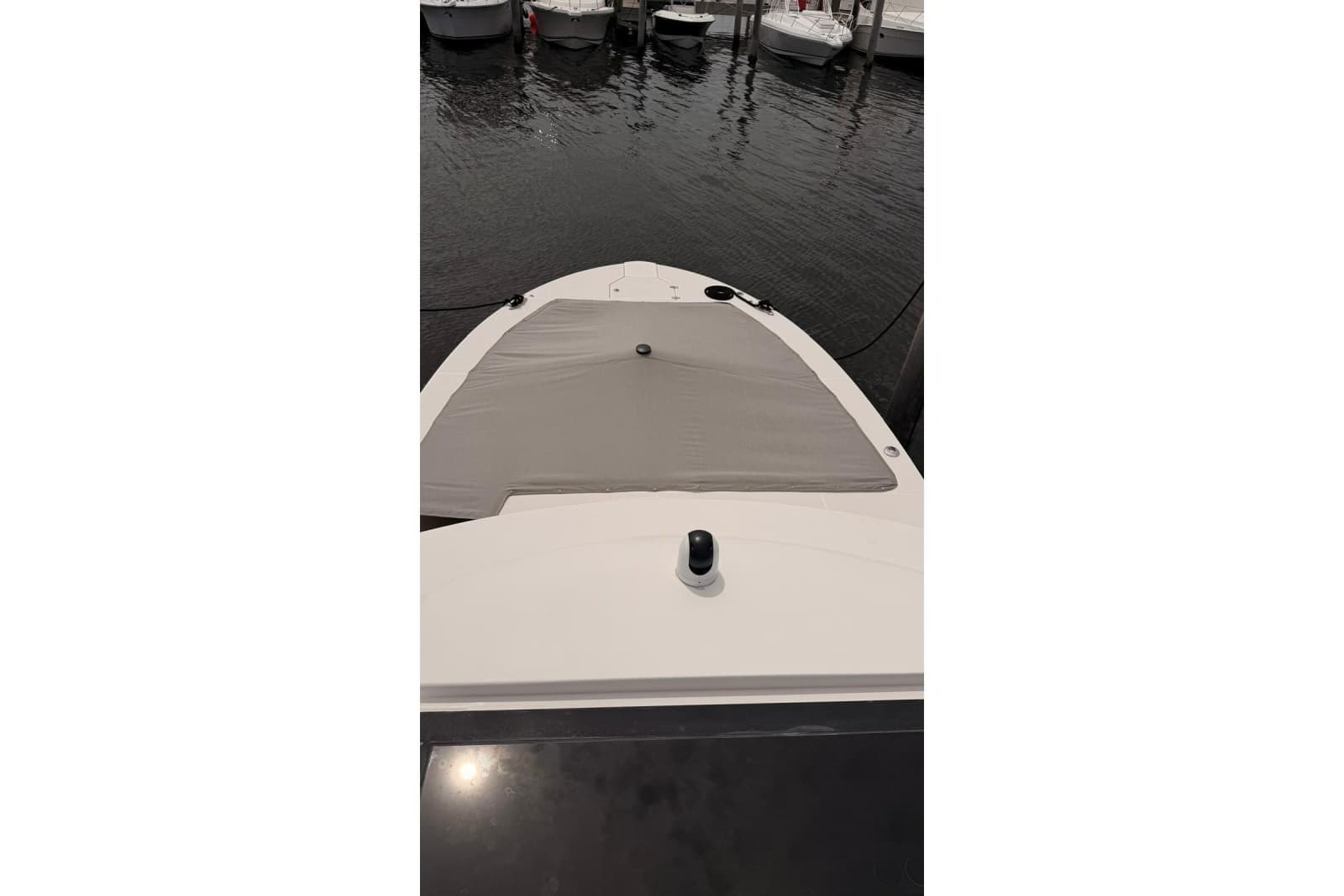 2020 Regal 38 SAV - Photo 44