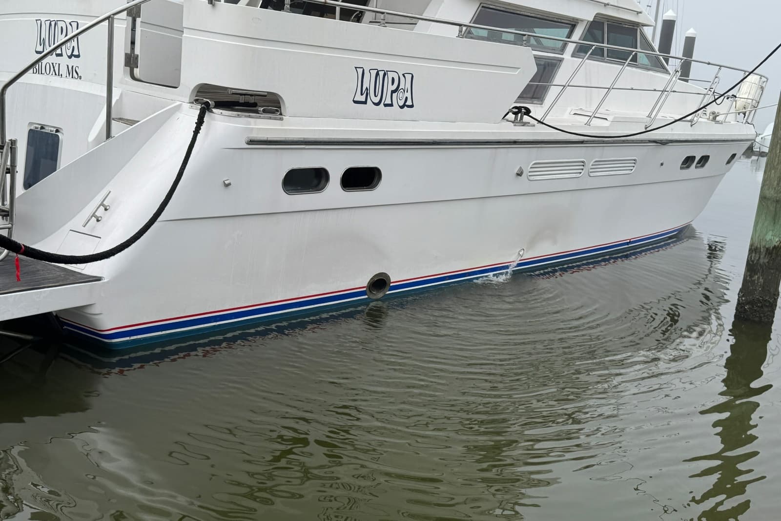 2001 Horizon Virgin - Photo 4