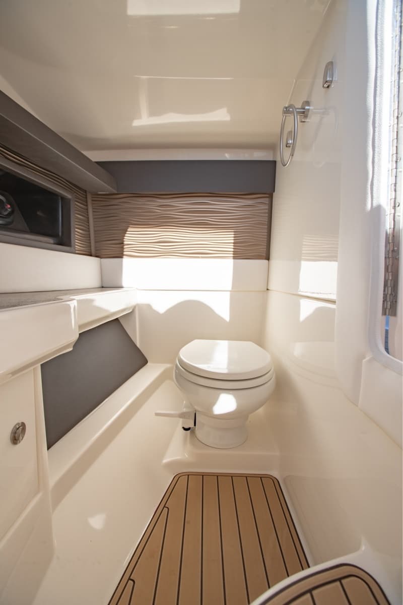 2021 Sea Ray 310 SLX Outboard - Photo 19