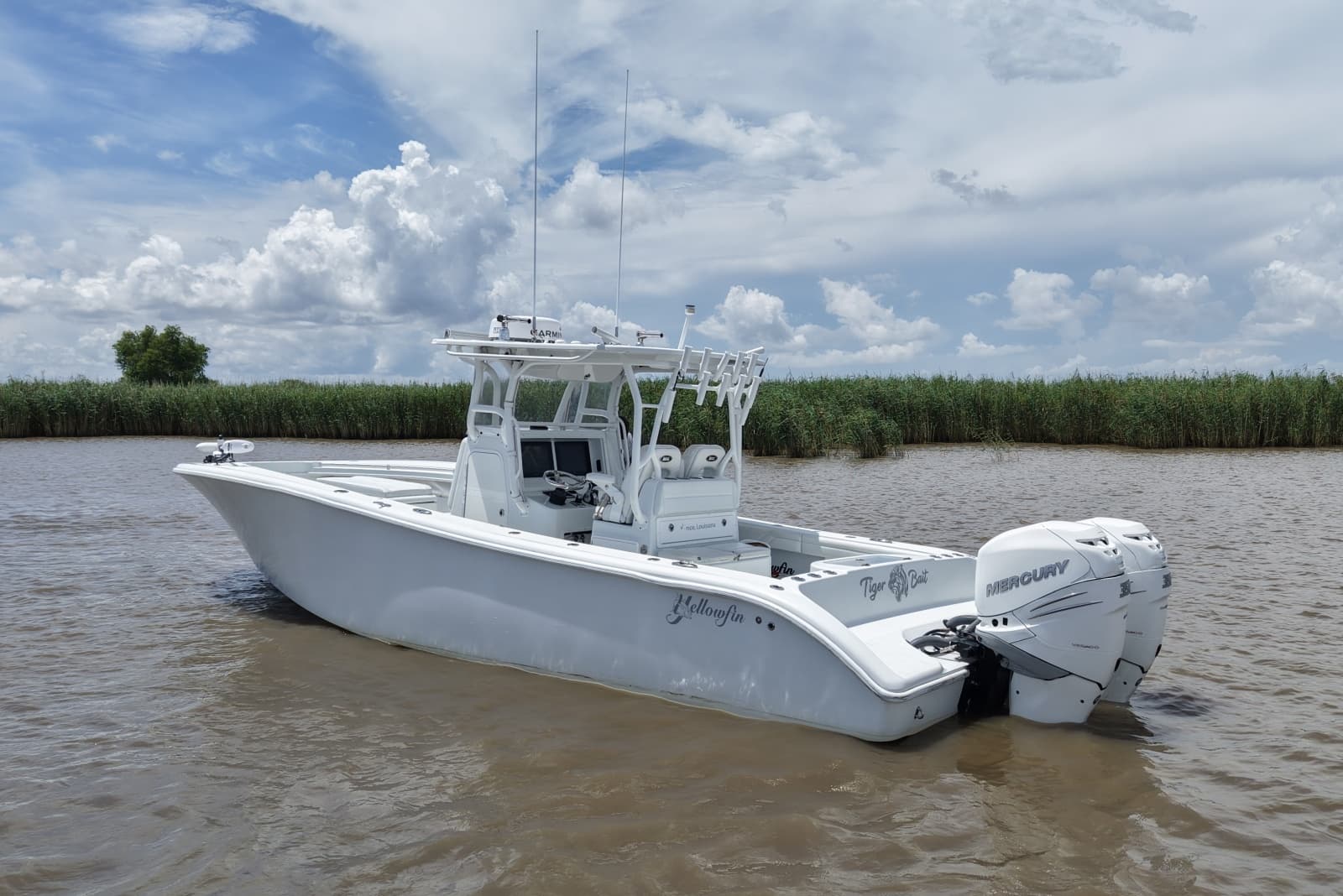 2016 Yellowfin  - Photo 3