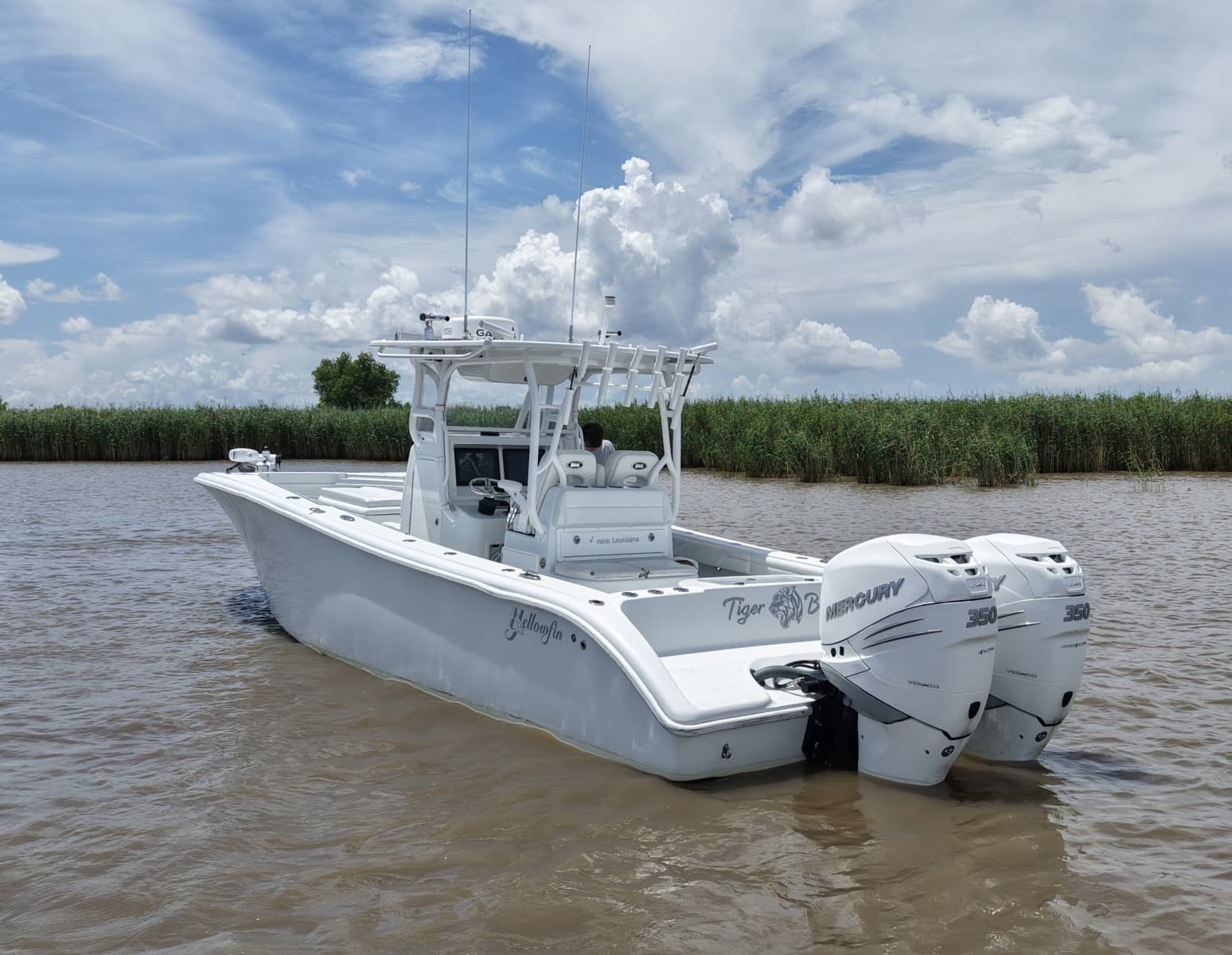 2016 Yellowfin  - Photo 4