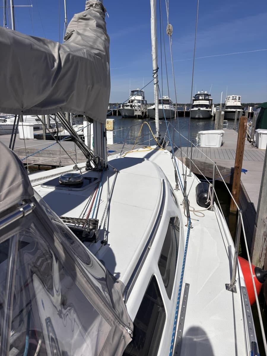 1999 Catalina  - Photo 11