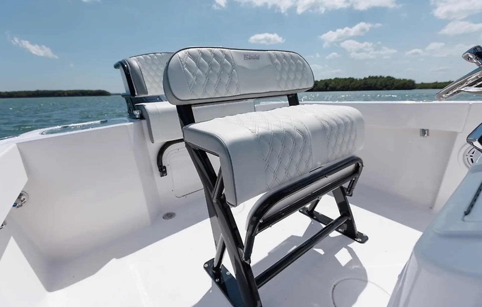 2027 Bimini  - Photo 7