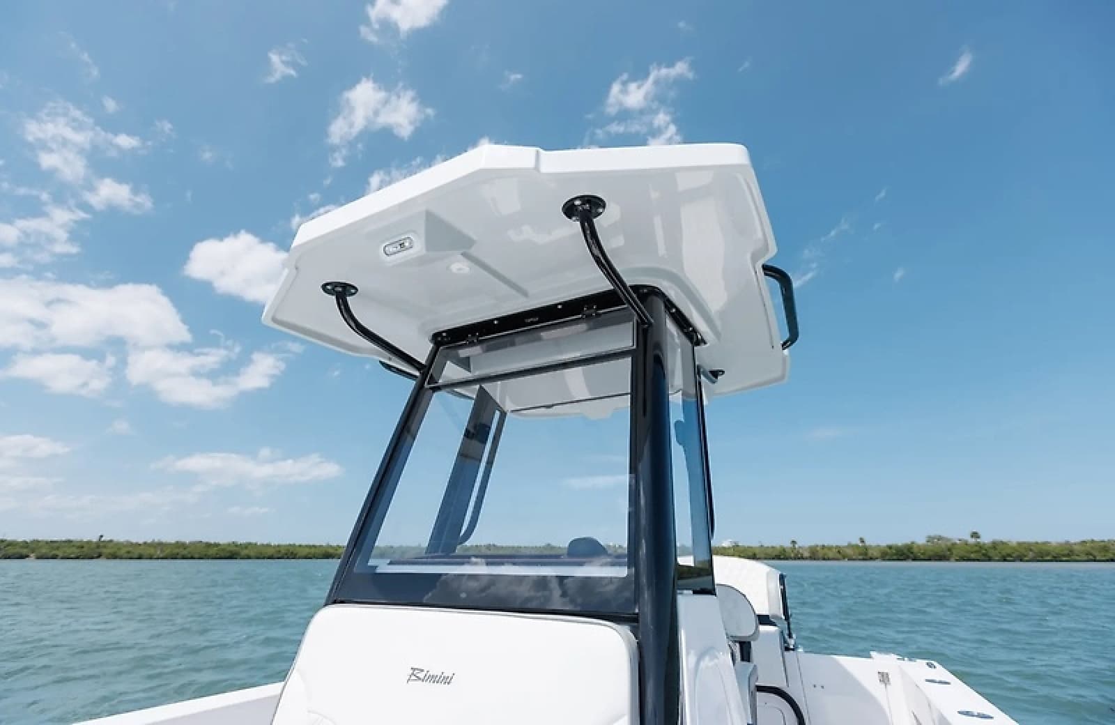 2027 Bimini  - Photo 6