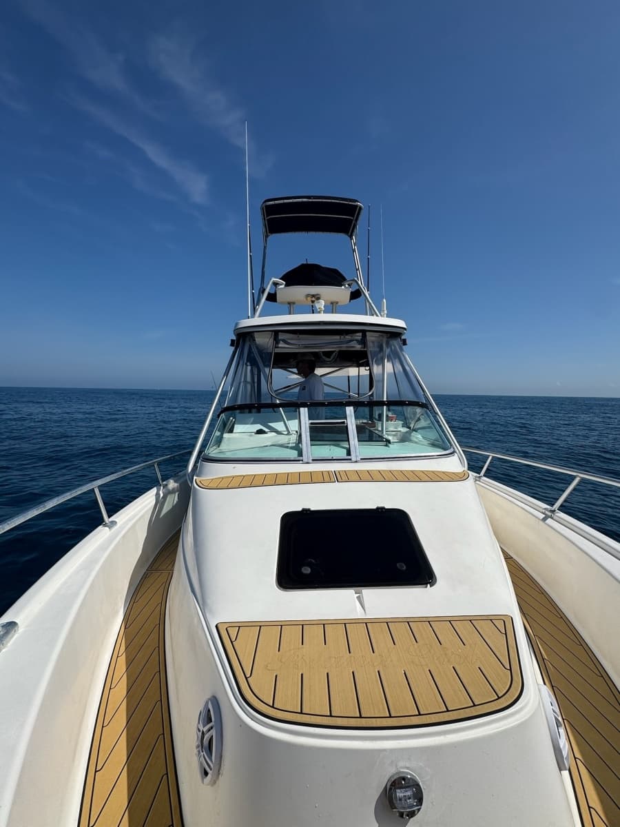 1992 Luhrs 300 Open Tournament Sportfish - Photo 15