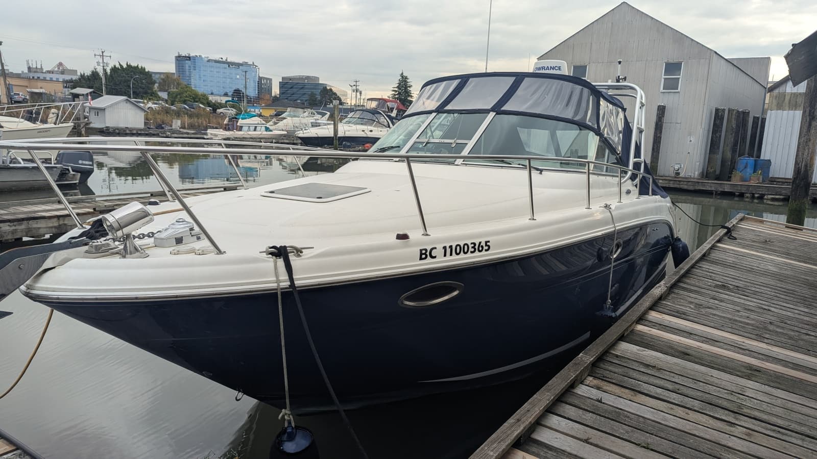 2004 Sea Ray 290 Amberjack - Photo 3
