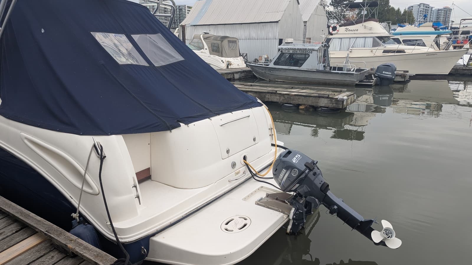 2004 Sea Ray 290 Amberjack - Photo 4