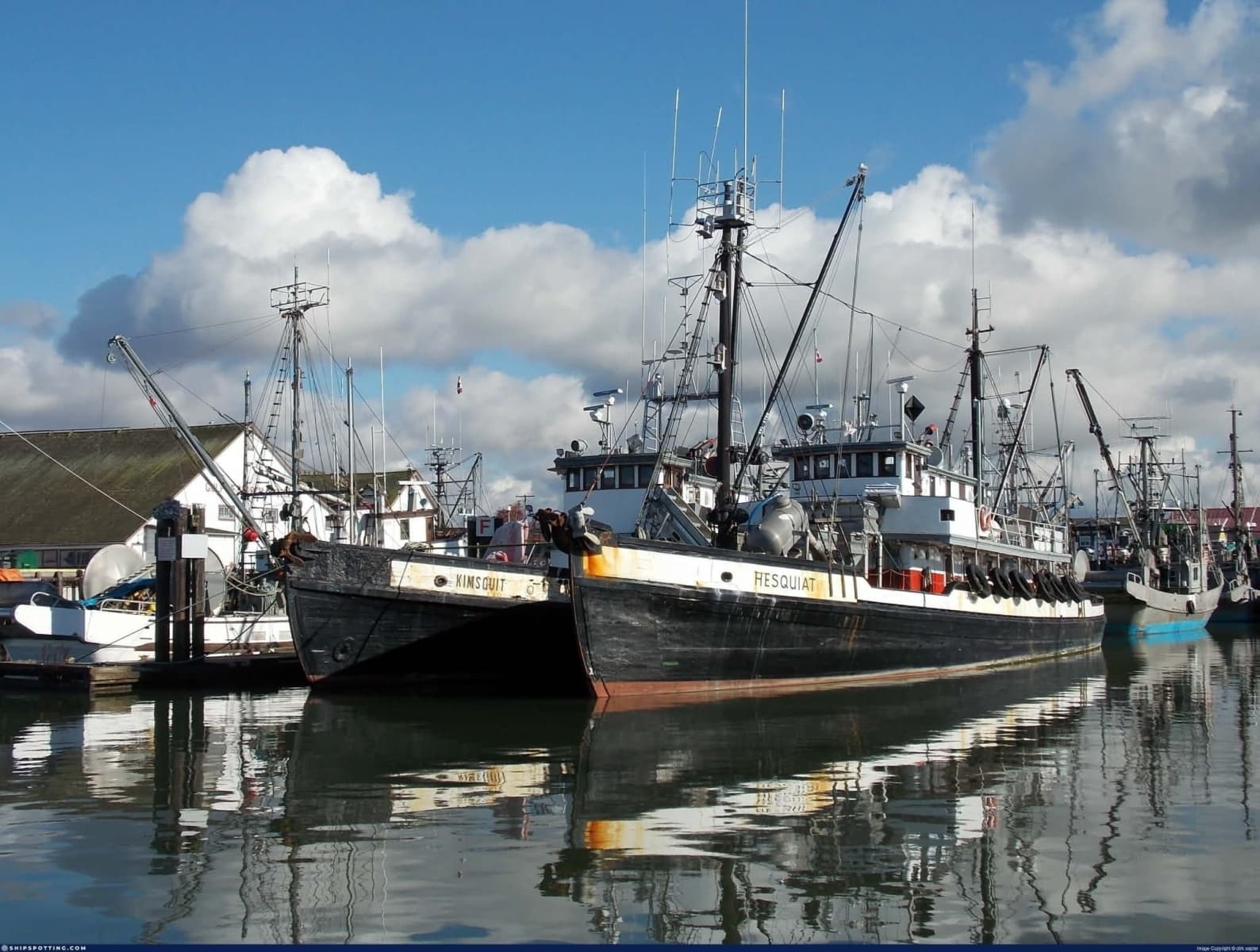 1944 Newcastle 104 Commercial Freighter - Photo 15