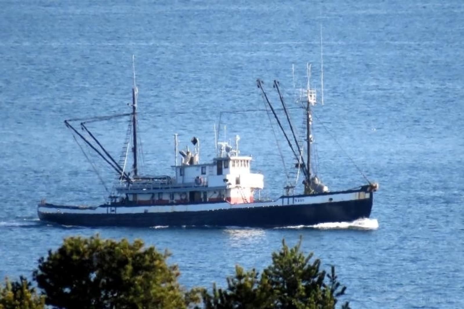 1944 Newcastle 104 Commercial Freighter - Photo 2