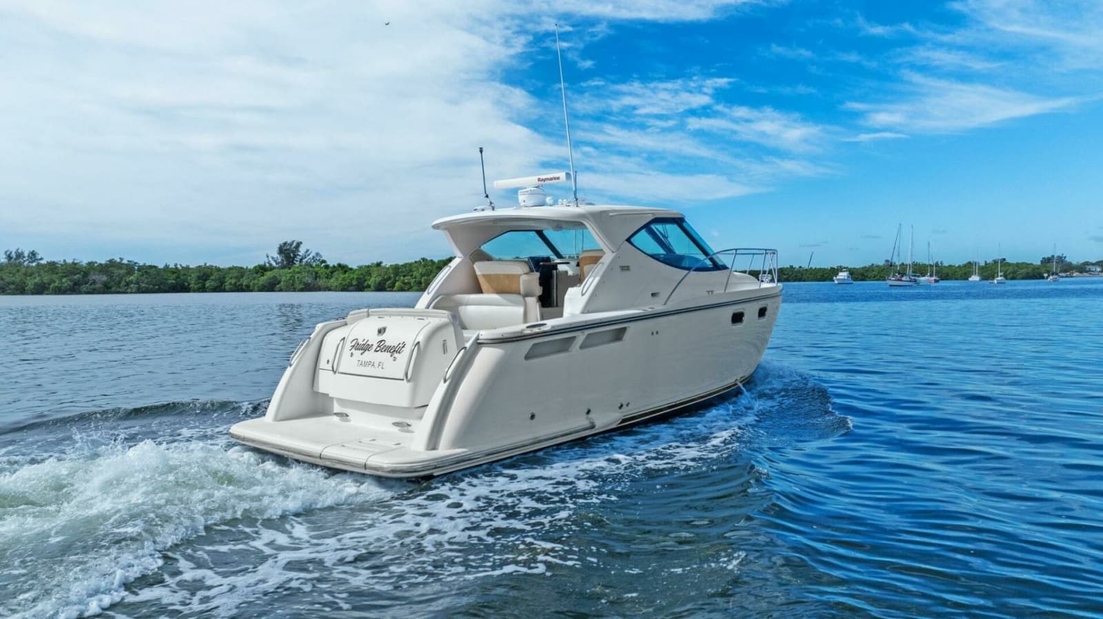 2008 Tiara Yachts 3500 Sovran - Photo 40