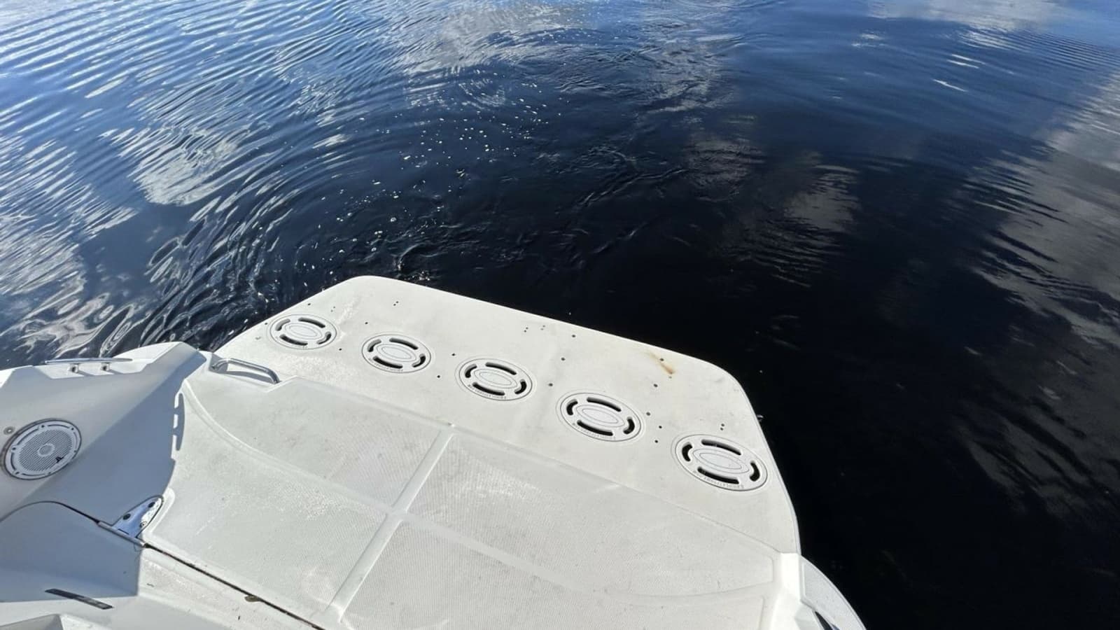2009 Sea Ray 310 Sundancer - Photo 14