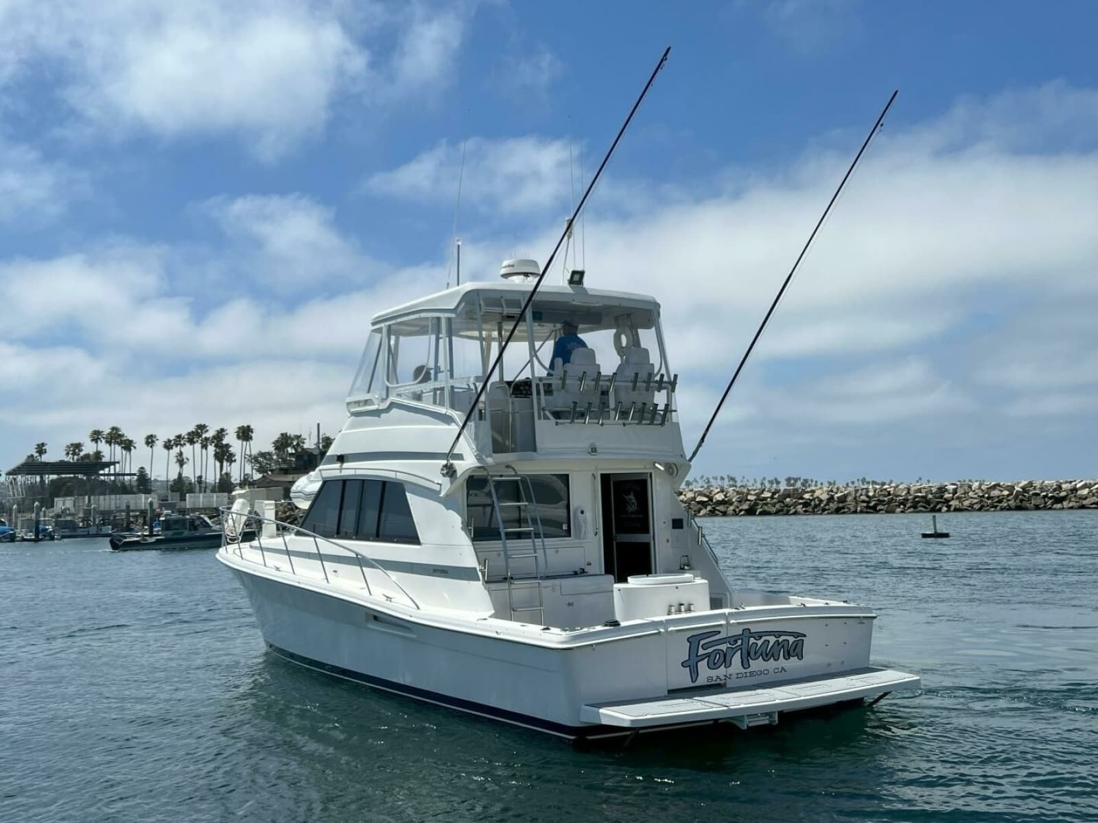 2002 Riviera 43 Flybridge - Photo 20