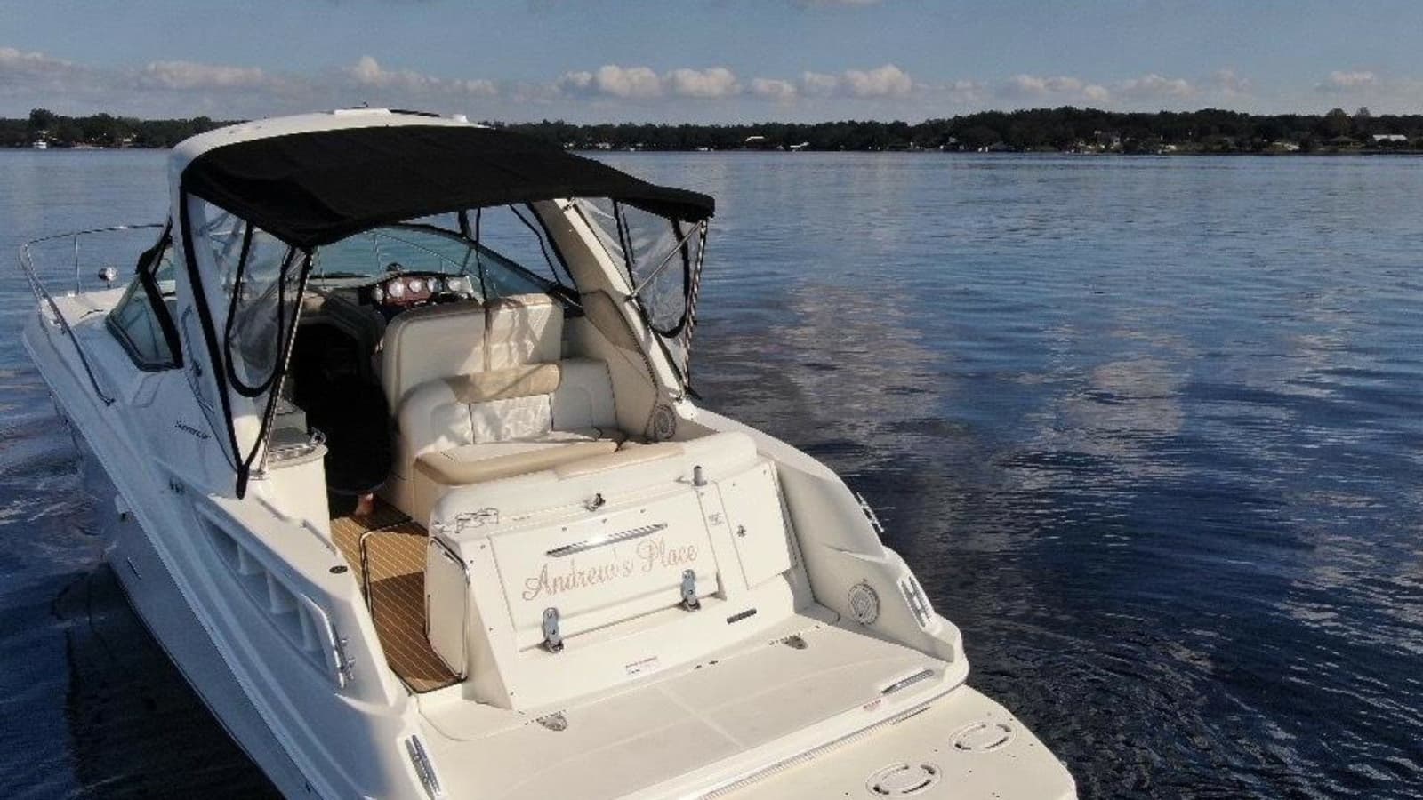 2009 Sea Ray 310 Sundancer - Photo 30