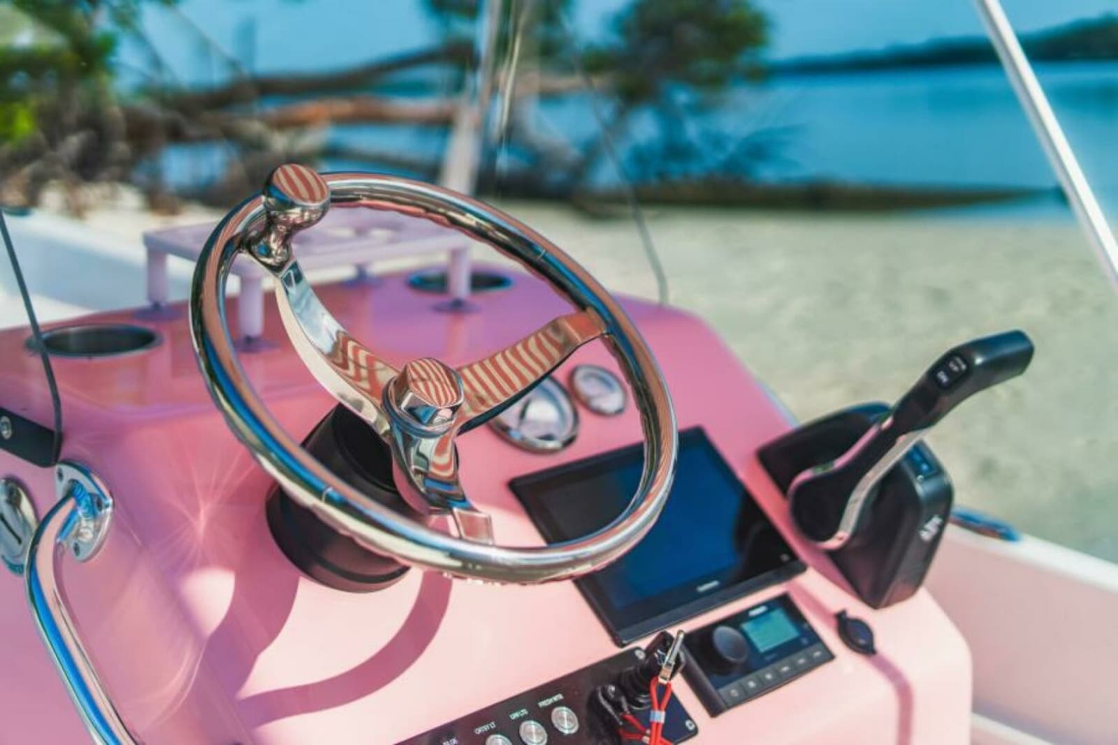 2027 Custom Palm Yachts 17 - Photo 4