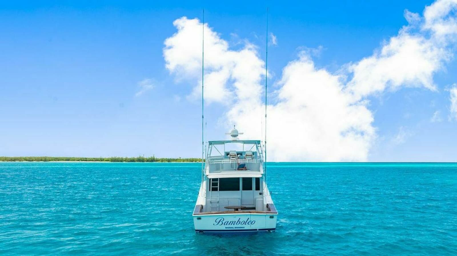 1999 Viking 55 Convertible - Photo 15
