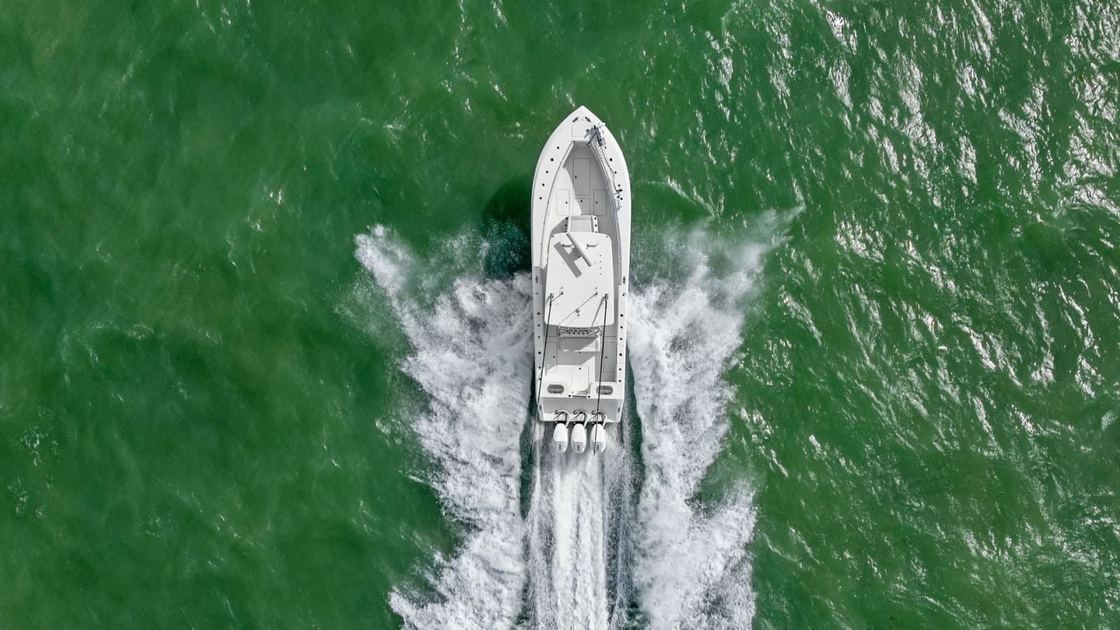 2024 Sea Hunter 35 Tournament - Photo 33