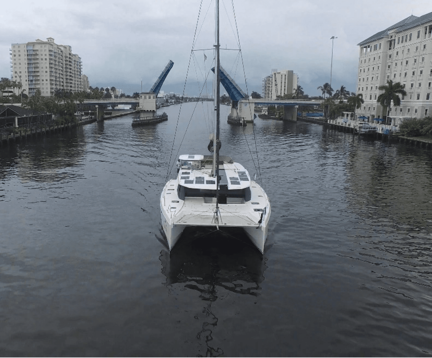 2019 Leopard 50 - Photo 4