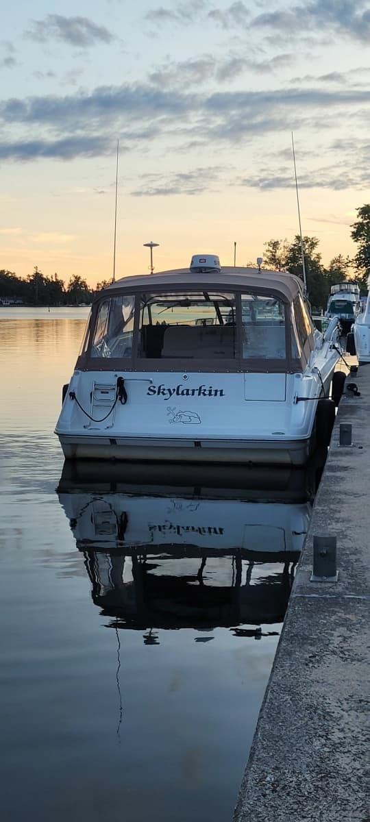 1991 Sea Ray 350 Sundancer - Photo 5