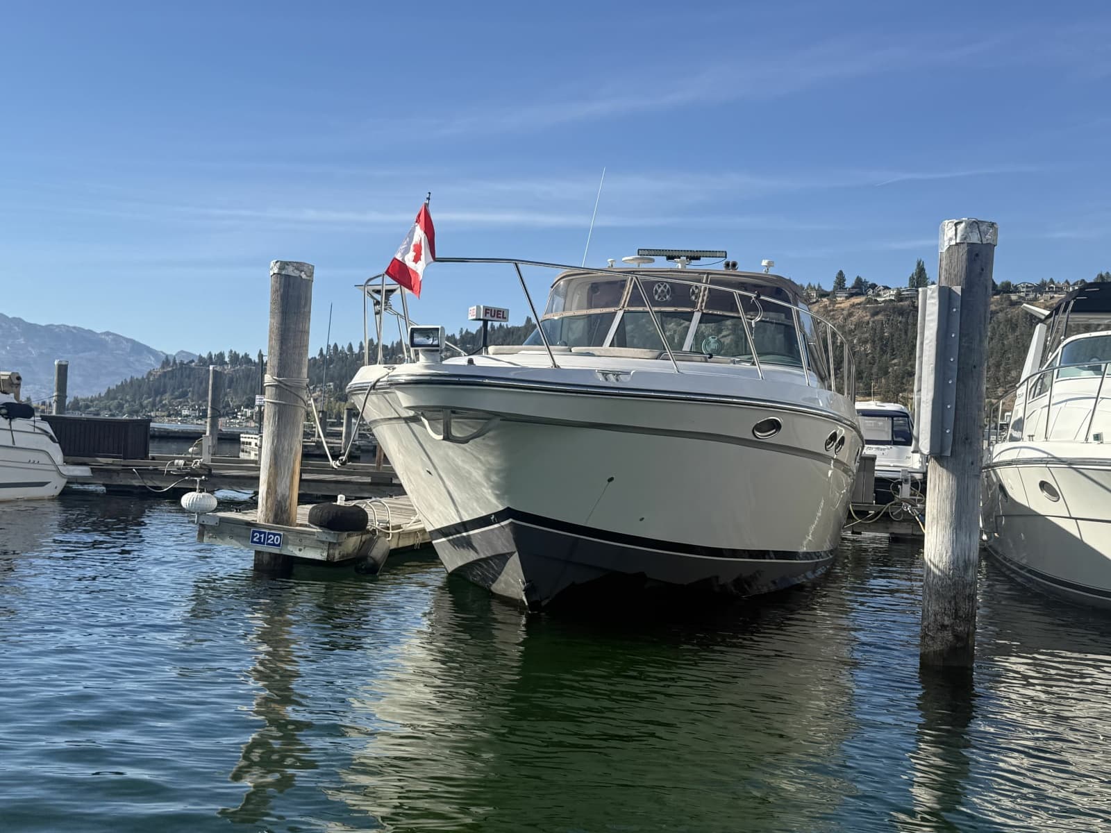 1998 Maxum 4100 SCR - Photo 6
