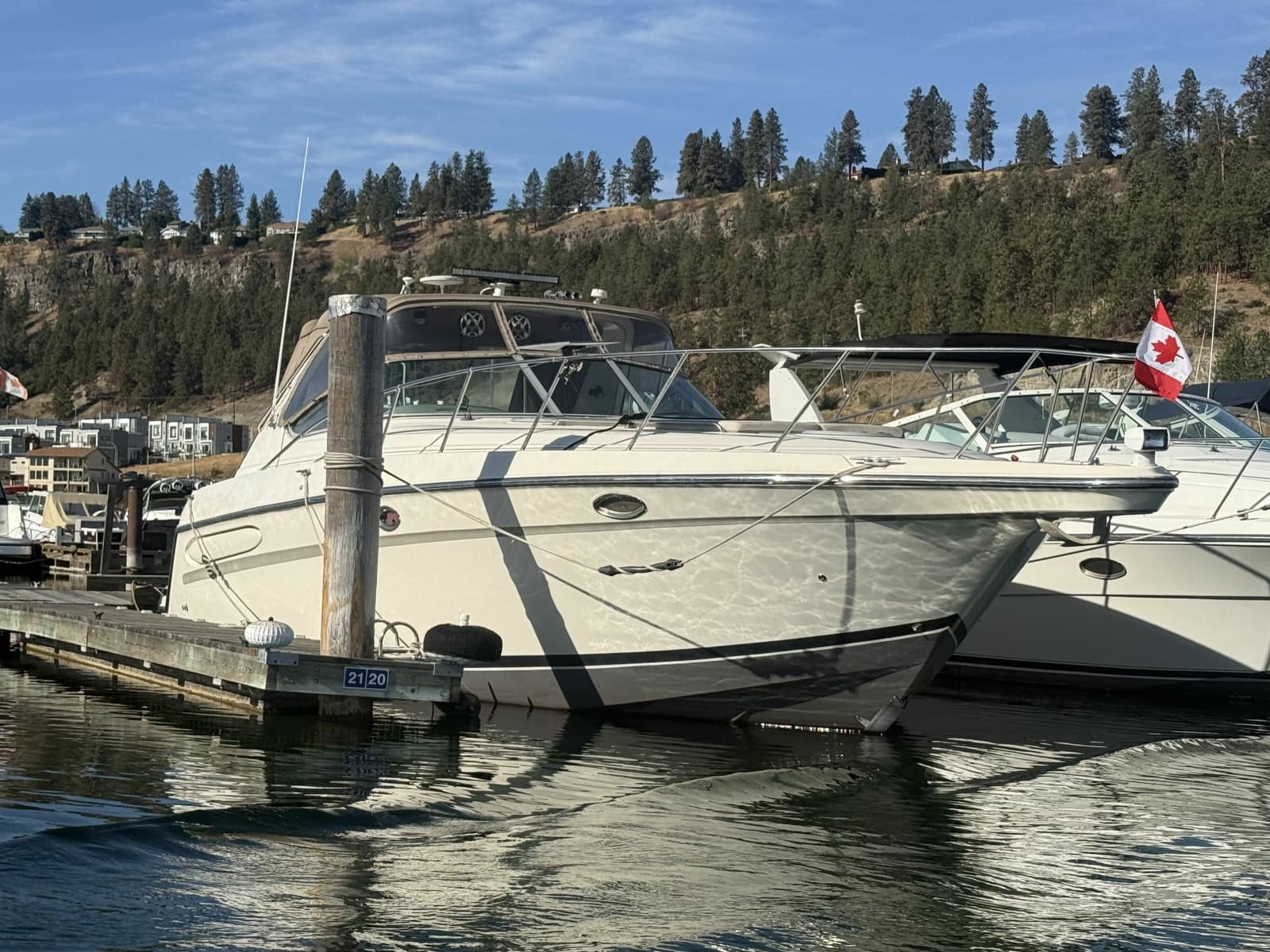 1998 Maxum 4100 SCR - Photo 7