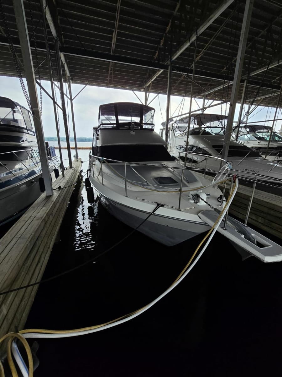 1990 Bayliner 4387 Motoryacht - Photo 2