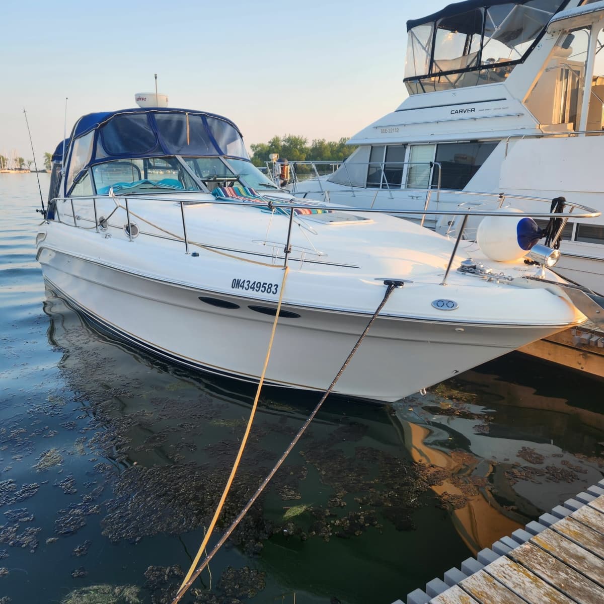 2001 Sea Ray 340 Sundancer - Photo 1