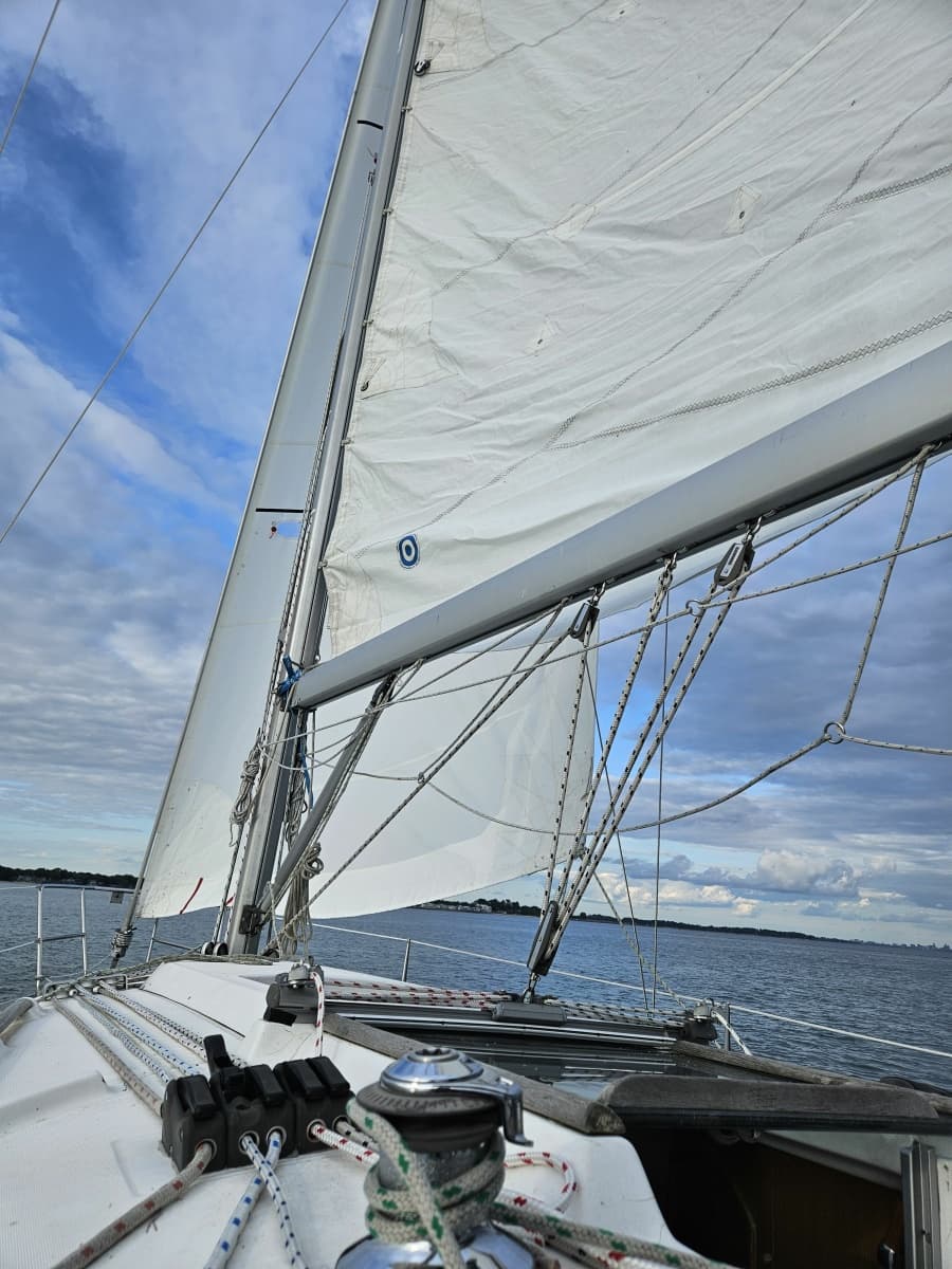 2003 Beneteau 311 - Photo 9