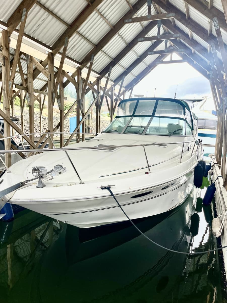 1999 Sea Ray 310 Sundancer - Photo 1