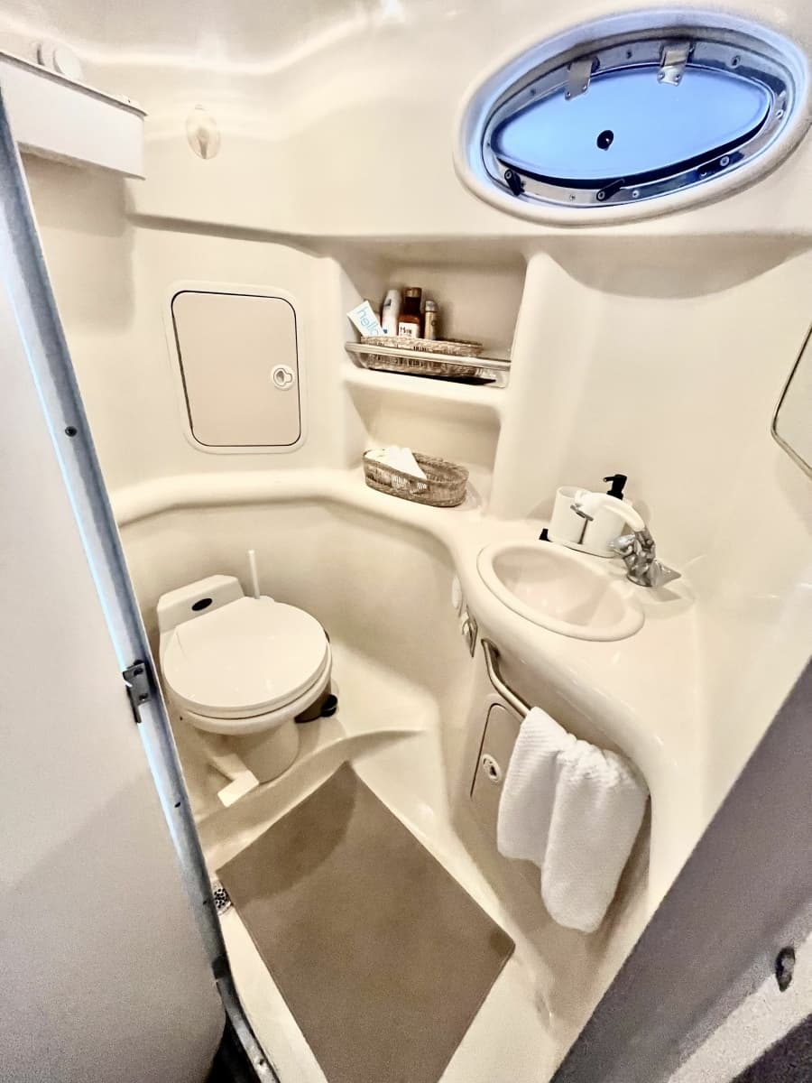 1999 Sea Ray 310 Sundancer - Photo 13