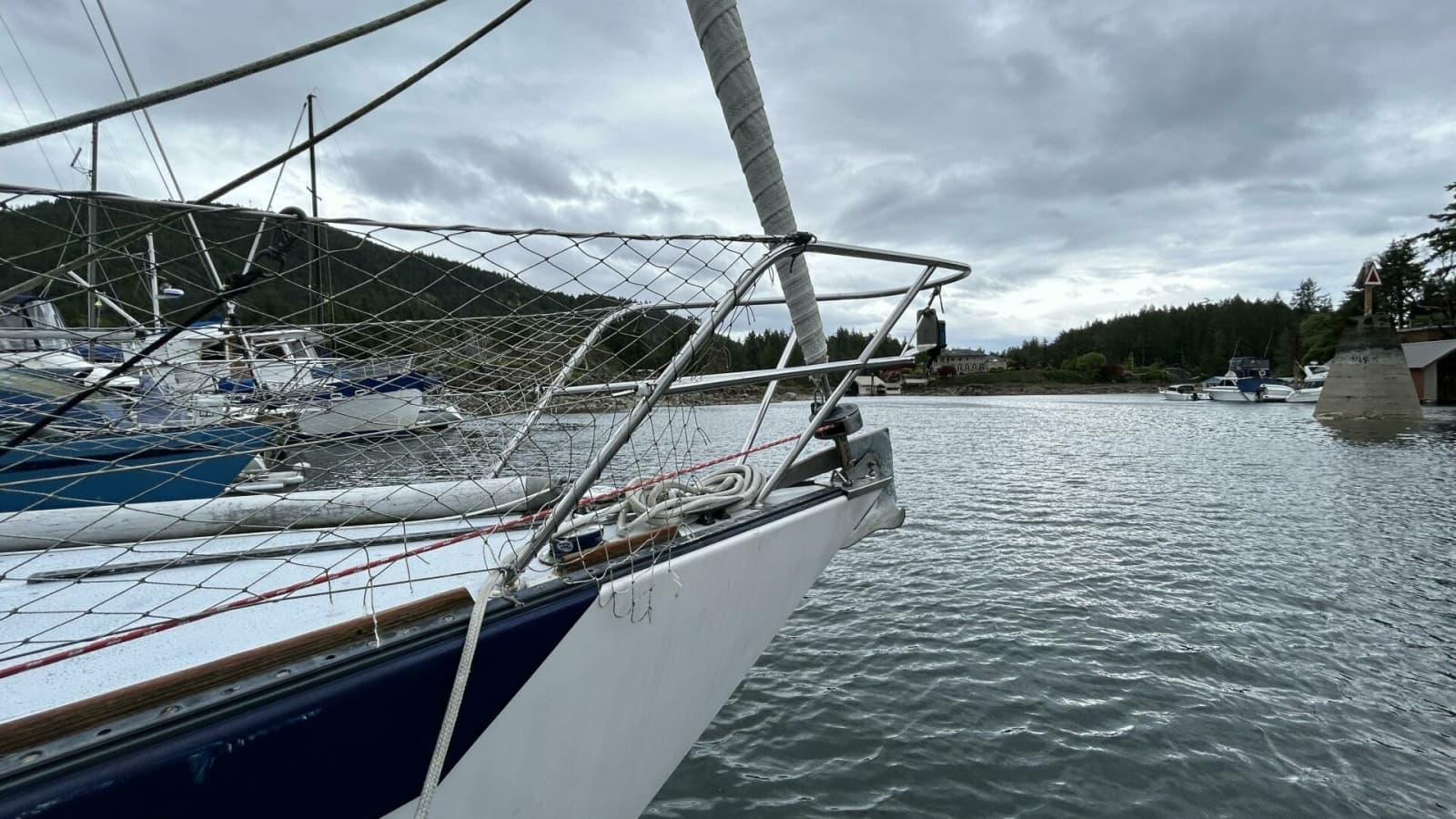 1982 Peterson 35 - Photo 8