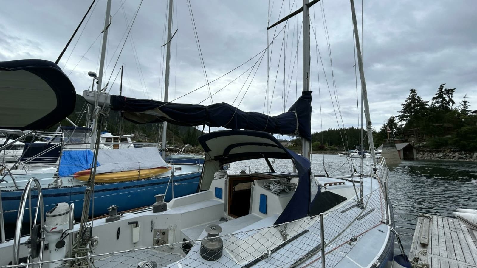 1982 Peterson 35 - Photo 20