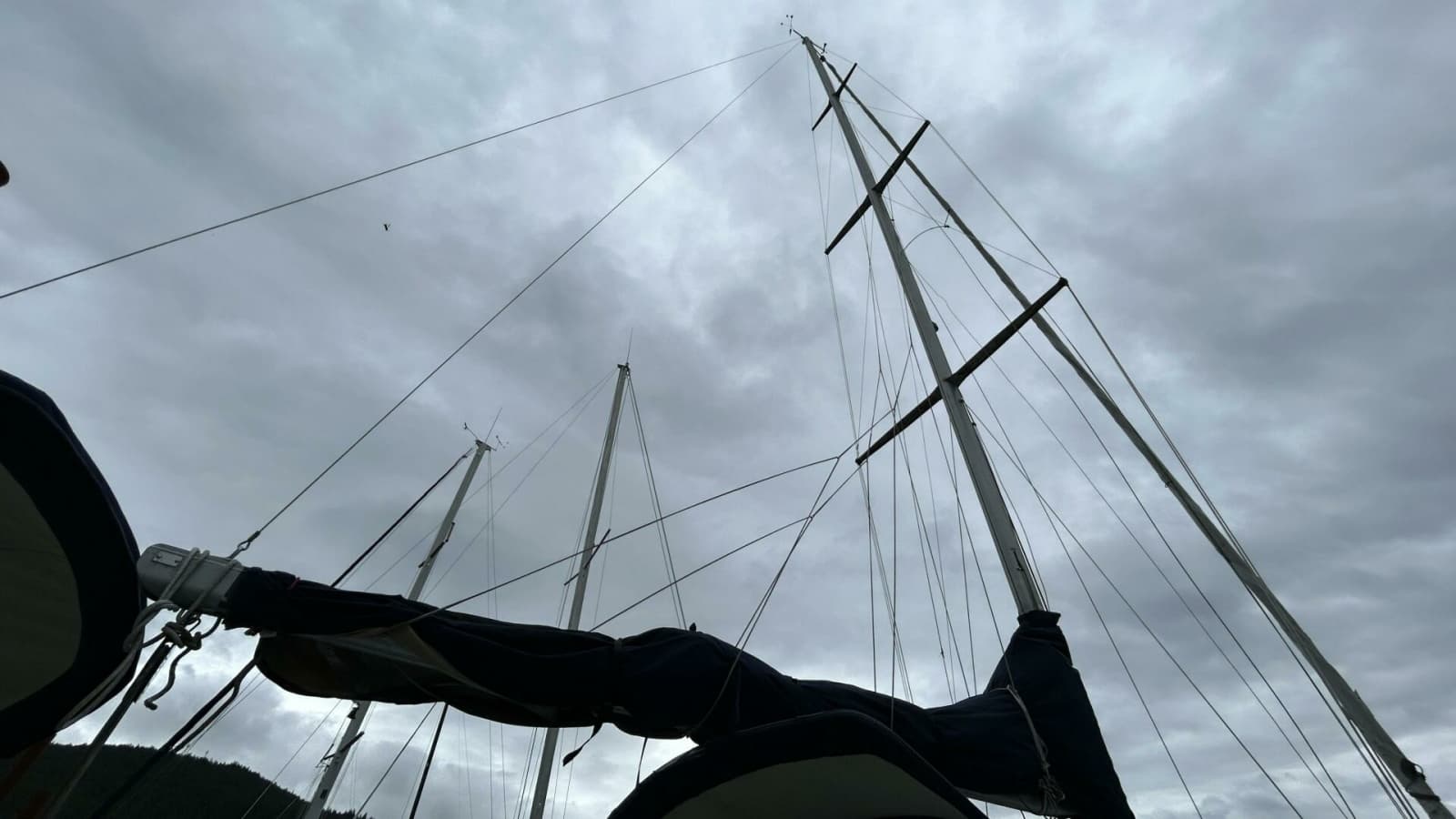 1982 Peterson 35 - Photo 21