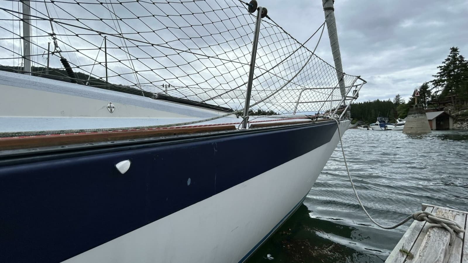 1982 Peterson 35 - Photo 22