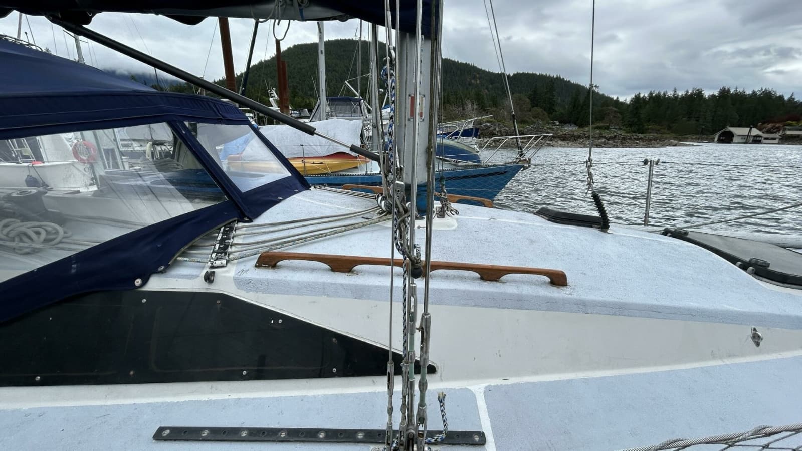 1982 Peterson 35 - Photo 23