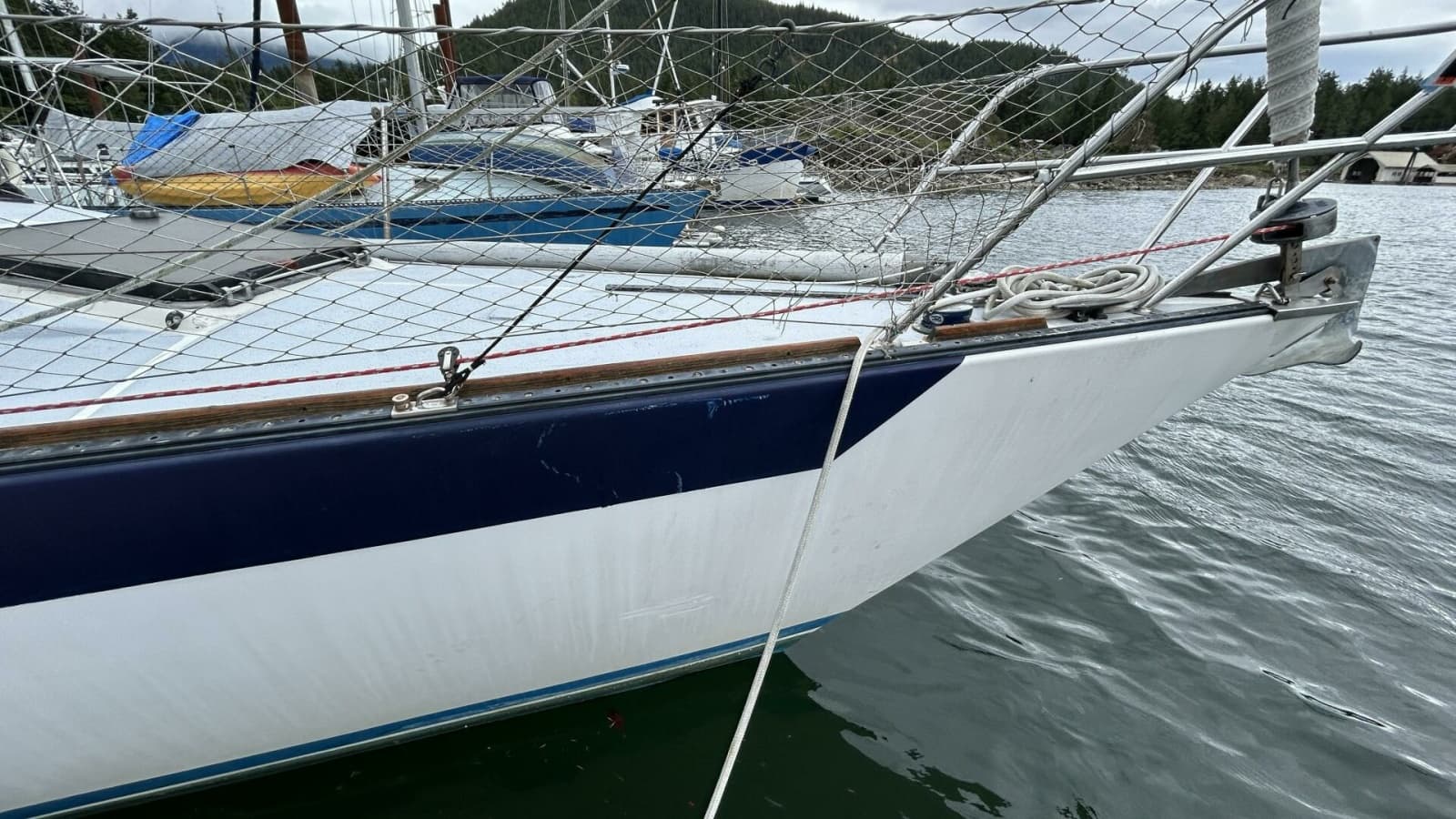 1982 Peterson 35 - Photo 7