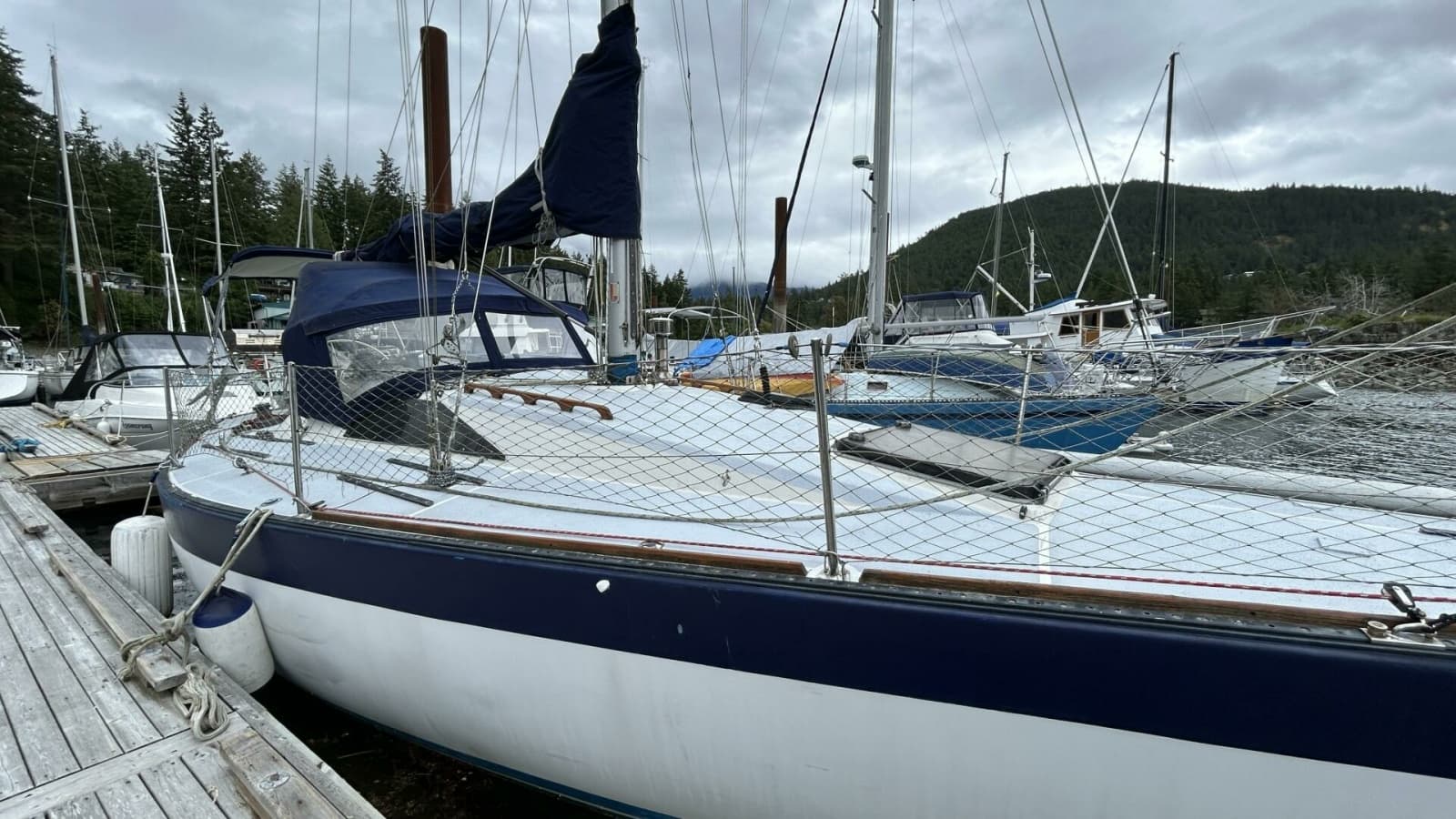 1982 Peterson 35 - Photo 3