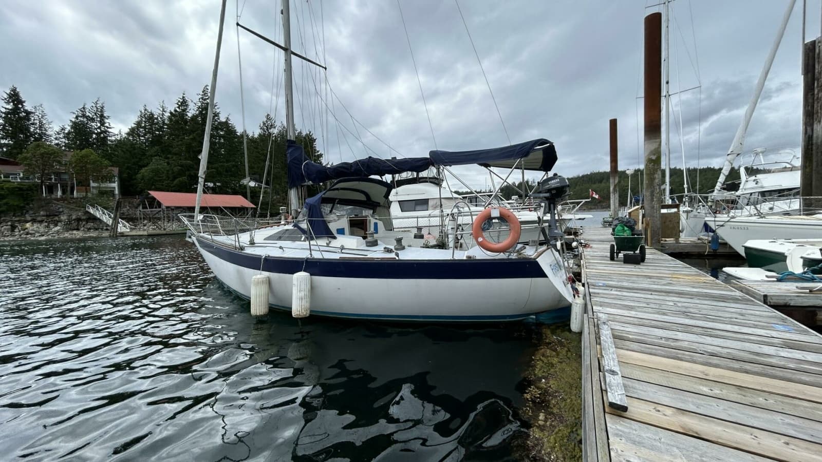 1982 Peterson 35 - Photo 2