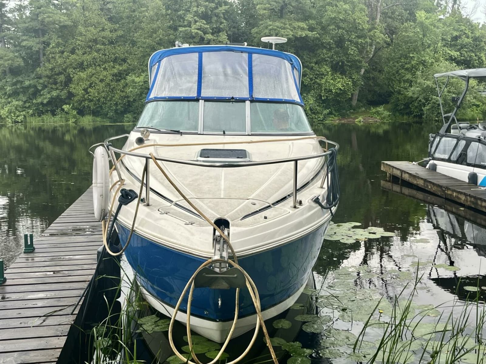2009 Rinker 260 Express - Photo 3