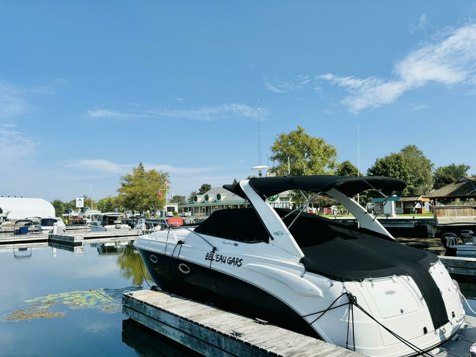 2008 Chaparral 330 Signature - Photo 2