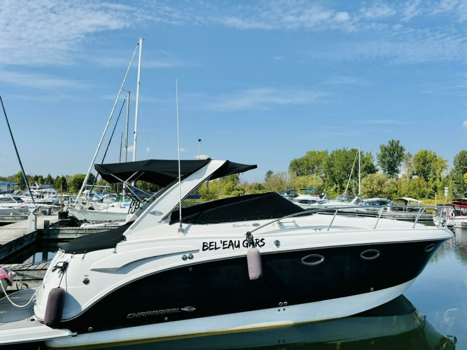 2008 Chaparral 330 Signature - Photo 3