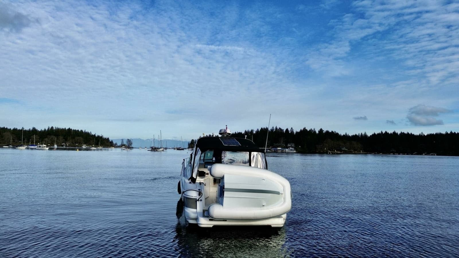 2006 Cruisers Yachts 340 Express - Photo 5
