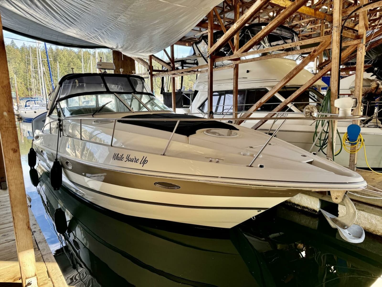 2006 Cruisers Yachts 340 Express - Photo 1