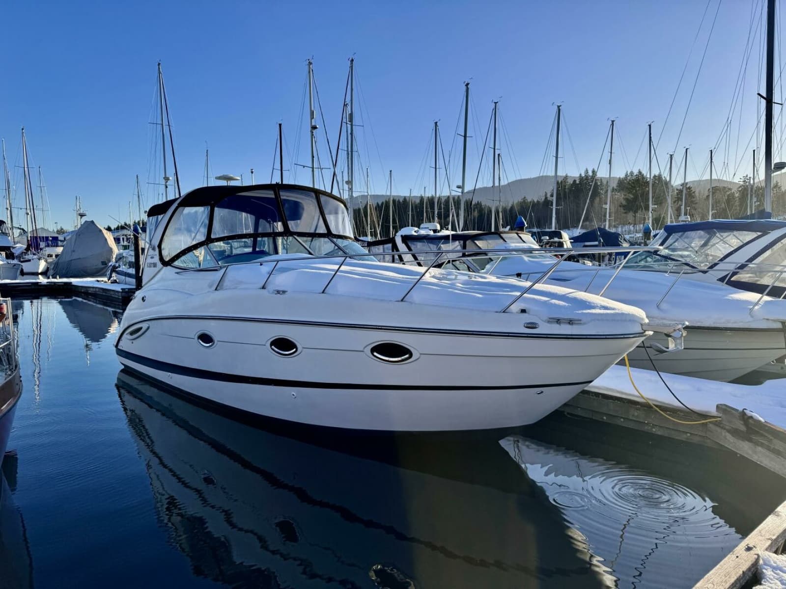 2006 Maxum 3100 SE - Photo 6