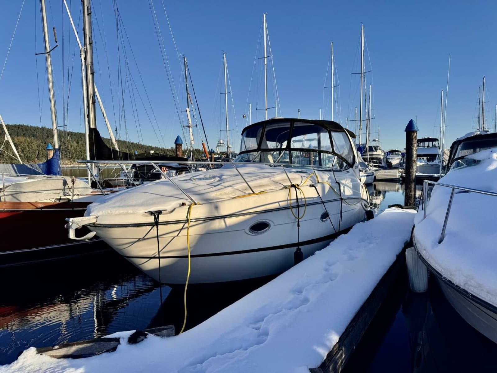 2006 Maxum 3100 SE - Photo 8