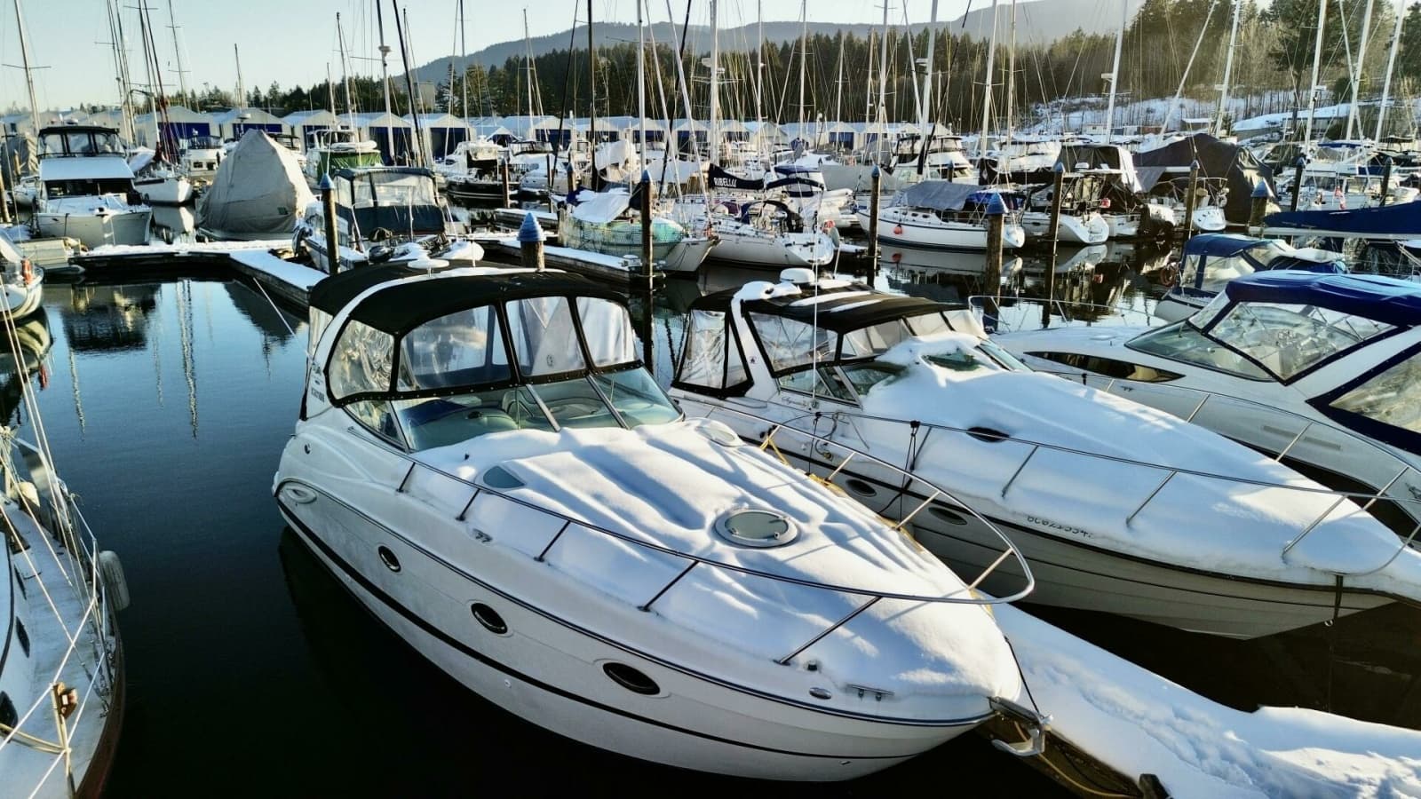 2006 Maxum 3100 SE - Photo 1