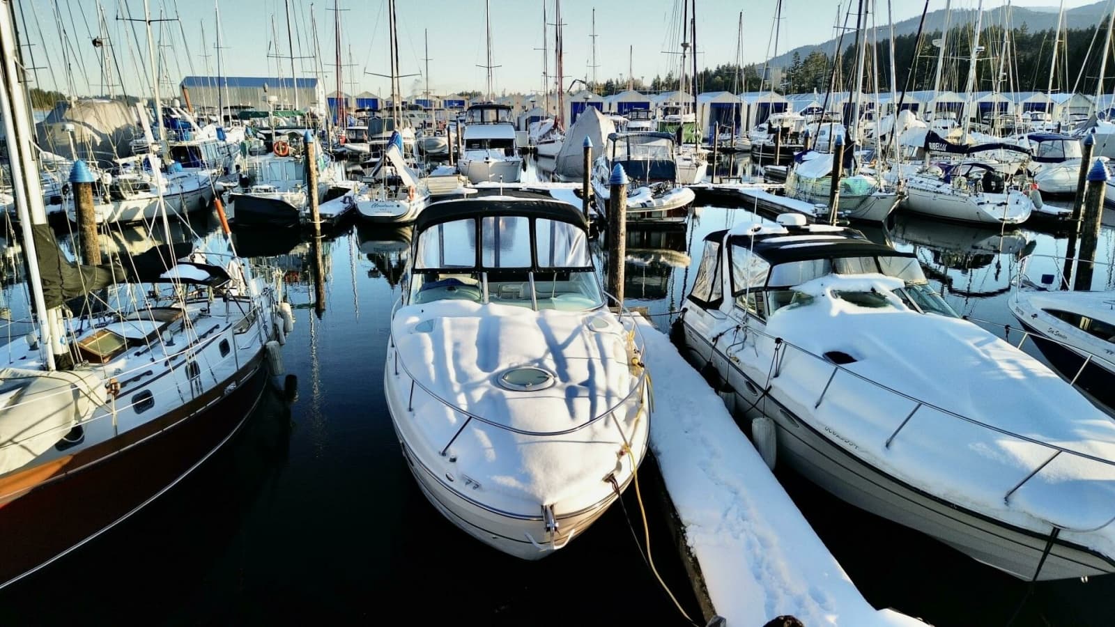 2006 Maxum 3100 SE - Photo 2